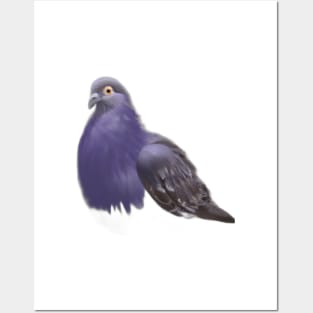 Cute Pigeon Drawing Posters and Art